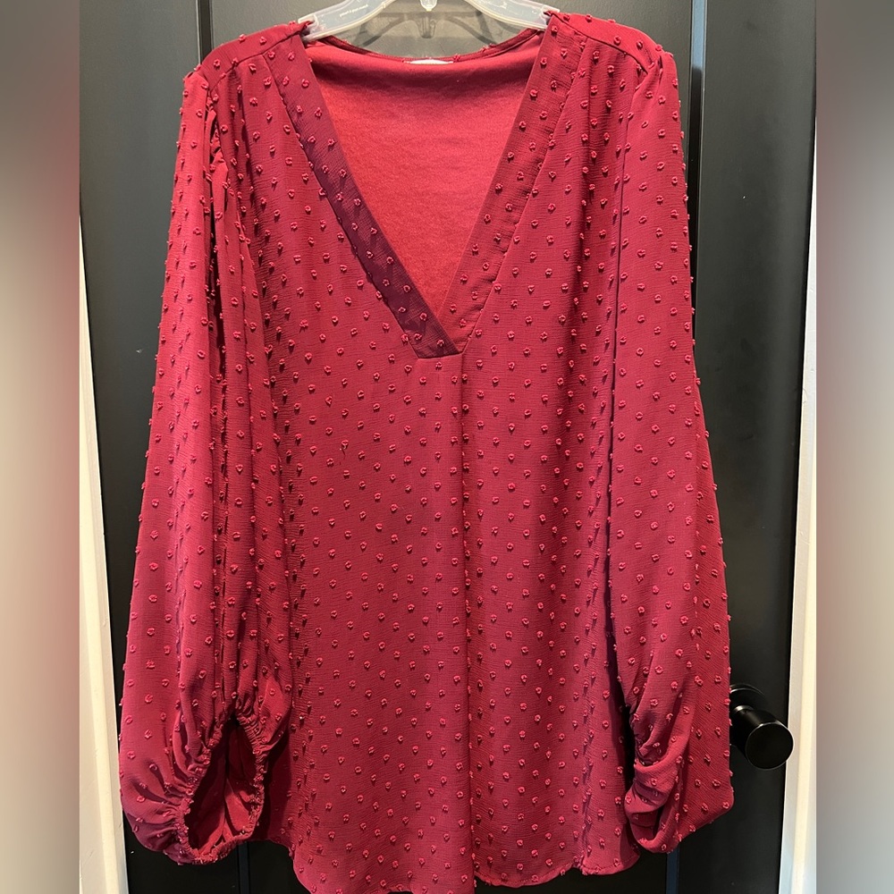 Burgundy sheer sleeve top